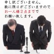 画像5: 【数量限定】中川海苔店ｘ市平　海苔屋の「青まぜ海苔」と せんべい屋の「長狭米」幻のコラボ煎餅 [ときわ青まぜ] 爆誕 (5)