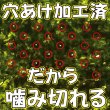 画像4: 【業務用】 ＼おにぎり屋さん御用達／ 噛み切れる おにぎり用 有明産 焼海苔 半切200食 おにぎり200個分！ (4)