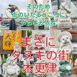 画像6: お土産に最適！選べる味海苔・焼海苔ボトル2個セット(貯金箱にもなるかわいい中川ポコ太郎BOX入) (6)