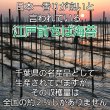 画像8: お土産に最適！選べる味海苔・焼海苔ボトル2個セット(貯金箱にもなるかわいい中川ポコ太郎BOX入) (8)